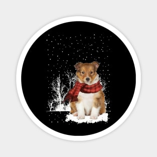 Christmas Shetland Sheepdog With Scarf In Winter Forest Magnet